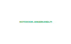 Notebook Amazon AMZ-L71
